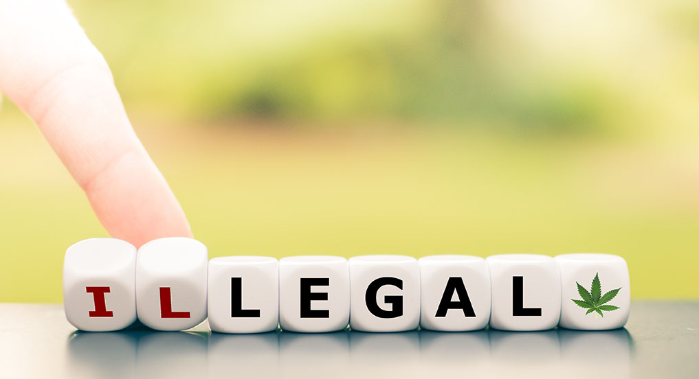 A person with lettered dice that say illegal with a marijuana leaf, knocking over the Il to reveal "legal"